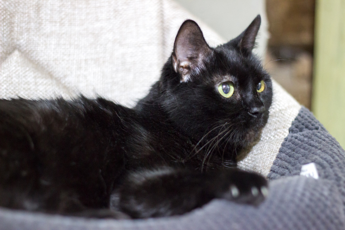 110294FB-4B4B-46C3-84F6-4B571A965060