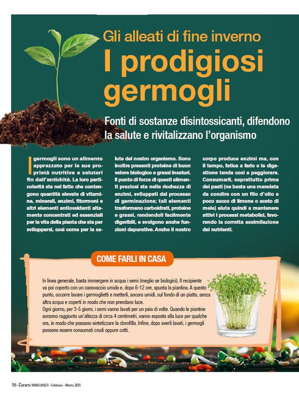 Cur Mang Feb-Mar 2025 (11)