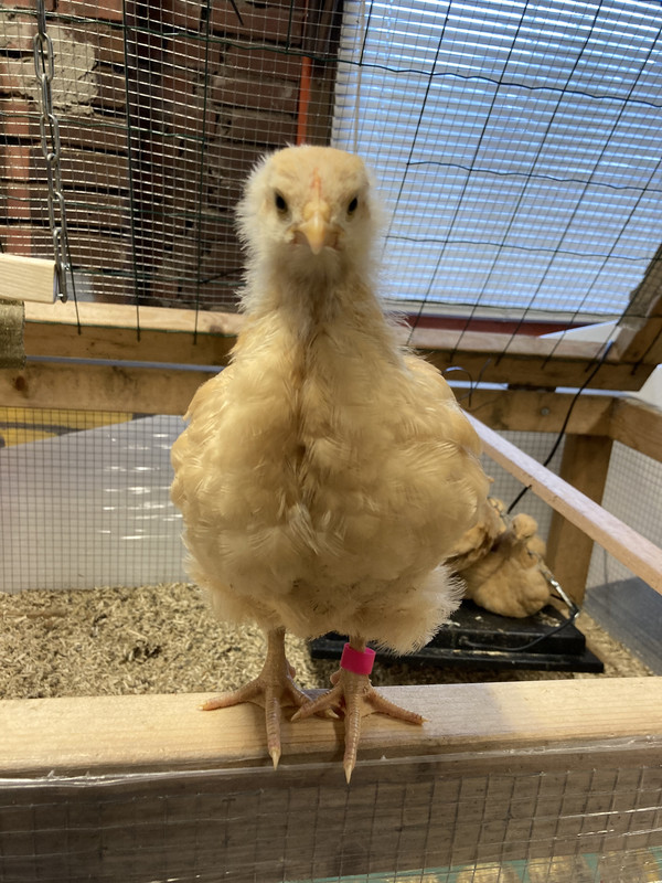 02B994D1-B09D-4BCB-A7E4-FCE9657ACC12