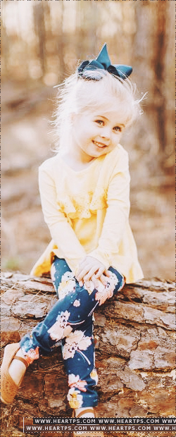 ���� ���� ������ �� ���� ������