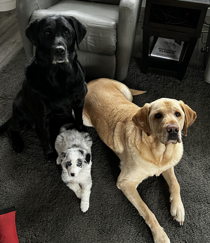 3FF2BFAD-A7D3-4217-BF4A-59575CB28F0B