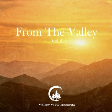 VA - From the Valley Vol 2 (2020)