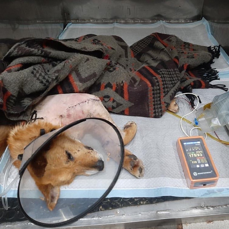 8F261936-AA72-4849-A087-0B59E63A0F41