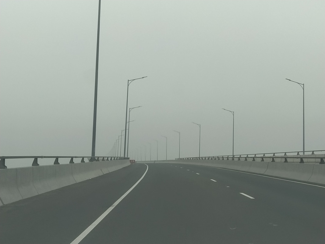 Бенгальский фьюжн с коровами на деревьях, или Бангладеш в обрамлении двух Индий