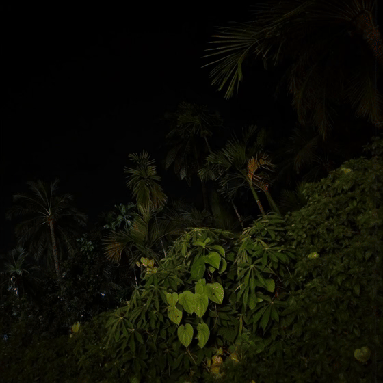 [Image: giff-76.gif]