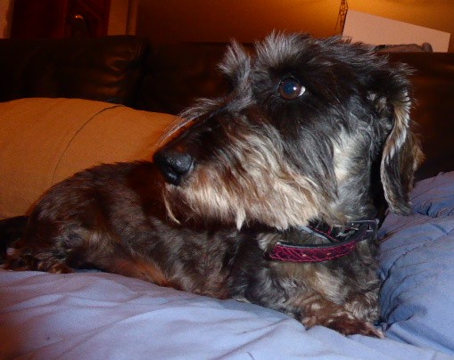 [Image: P1050736.jpg]