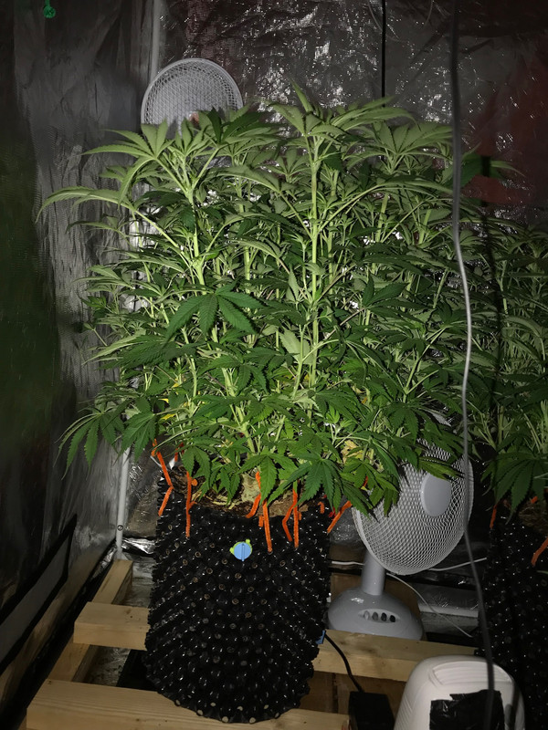 825D1297-4A9A-4CA3-B2B4-F3148C3E0209