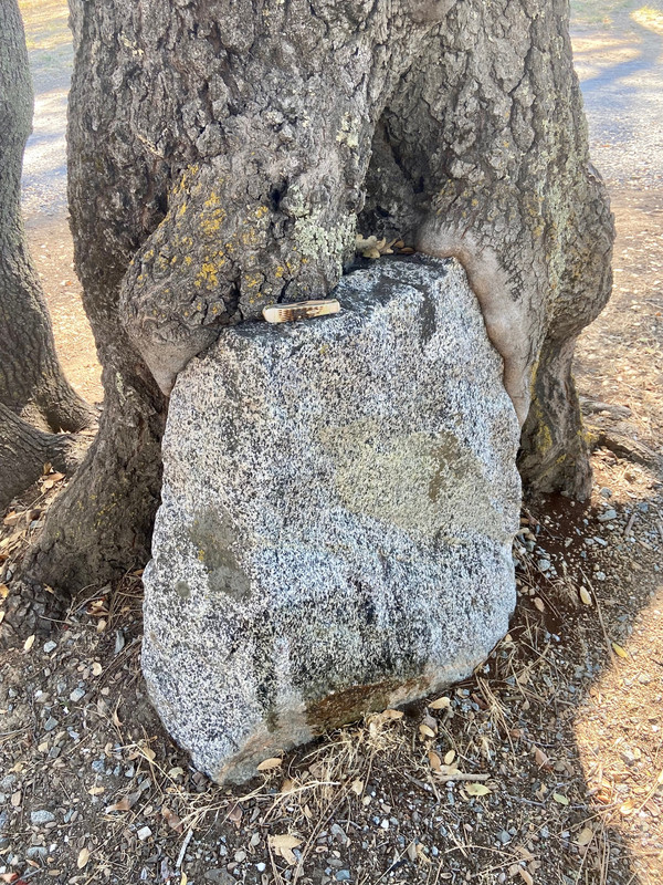 1ACA08A6-DE80-400F-99EA-6D061227EE97