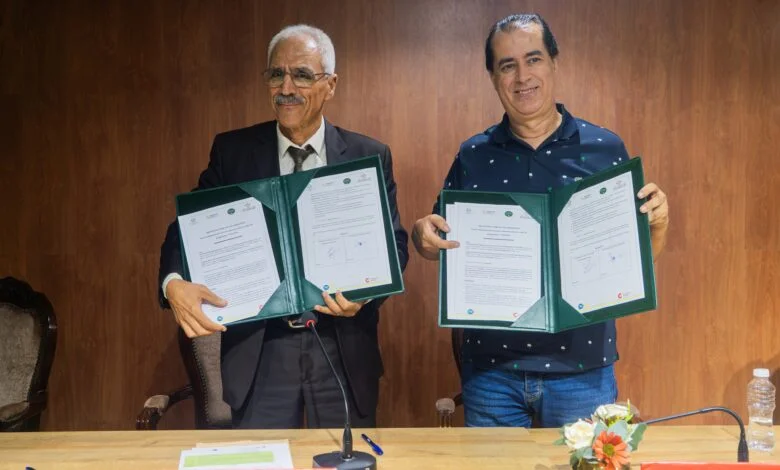 569586909-1303331295159922-7730845732222019103-n-780x470