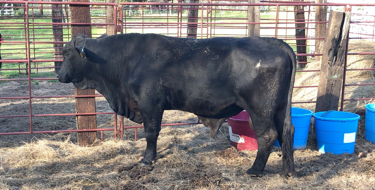 00424728-B20E-43A0-9F91-B726E05C18FD