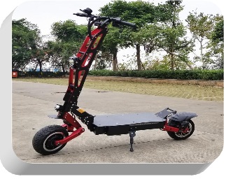 Zoom Electric Scooter