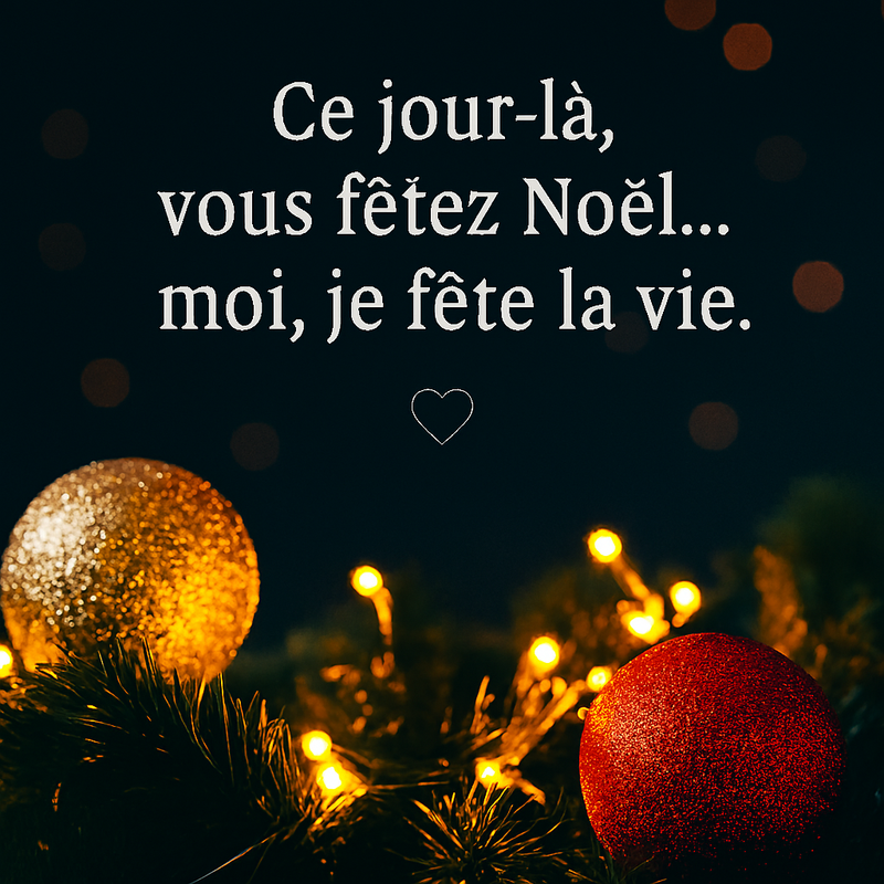 la vie noel2c9fa14ea0d1a88b