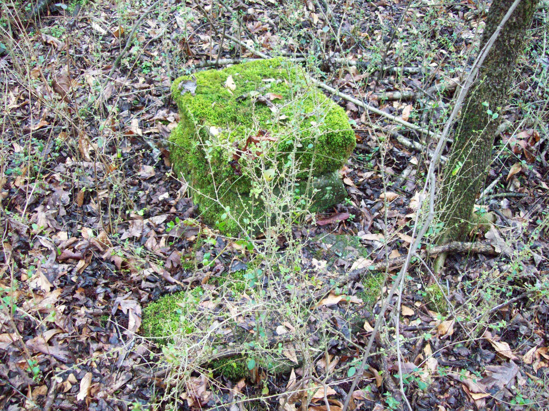 100 2664 — Postimages