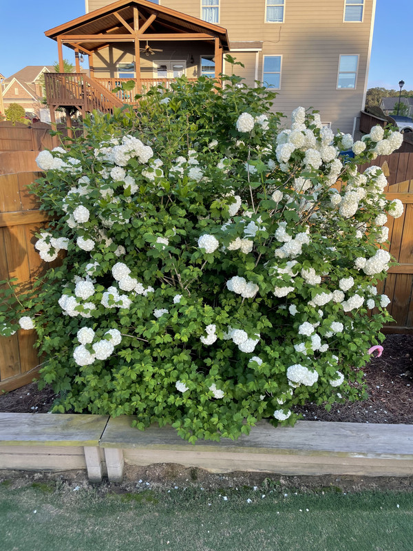 1BB7EA31-E410-47E3-ADB6-12F587AAC0EC