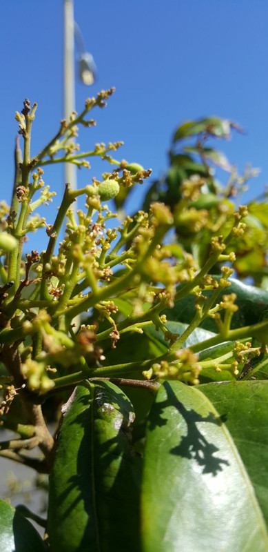 Screenshot_20180429-225743