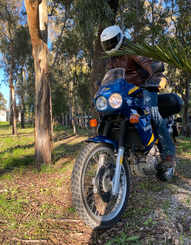 Yamaha tenere