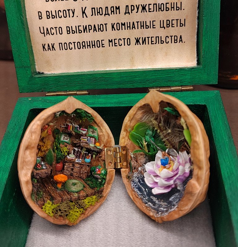 https://i.postimg.cc/fyggHRkC/034-IMG-20250128-154421.jpg