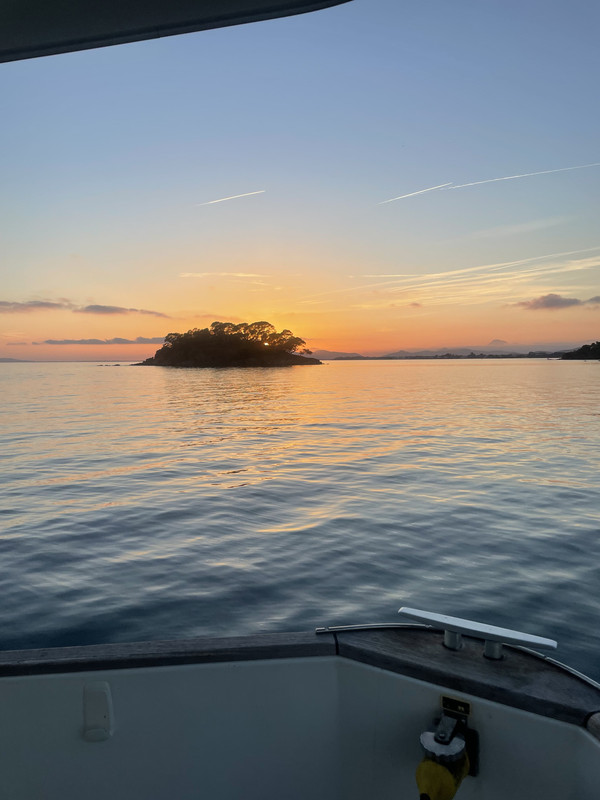 33A5FF21-38B4-4CAF-9679-D3CAE1366C8D