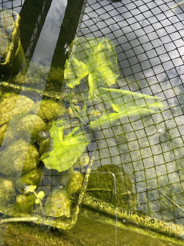 47DEDD22-287E-4EE4-81FA-9949F01A1B58