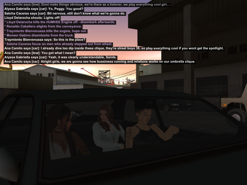LS13-1.png