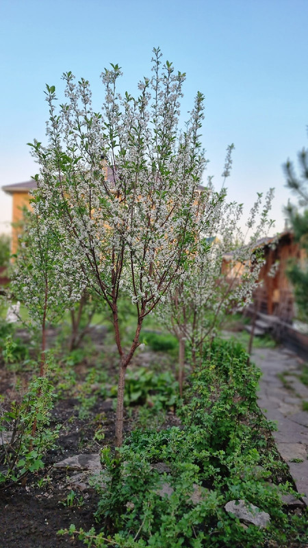 676WFRiePgKIJP1NoKzLsrlDl3fTk0J52SegkophfVlNeTXA5s49hAD1Sg2huAuEJk91o13OgOdWAUbrhWcRoV2o