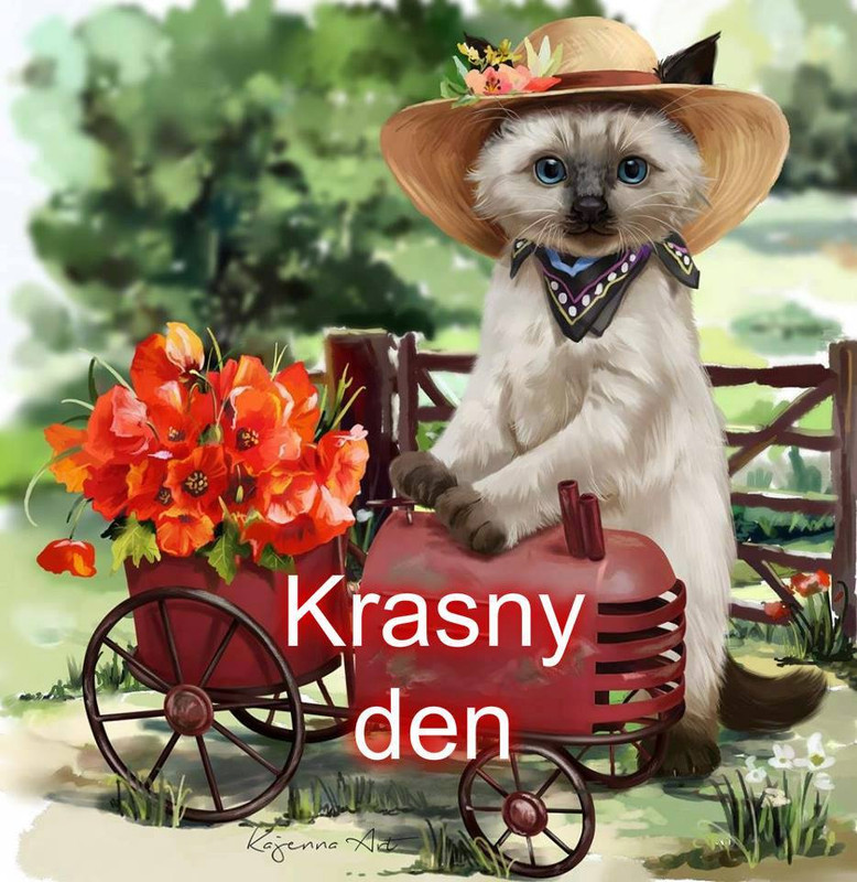 458371599_122187896996081682_7740174086396341945_n