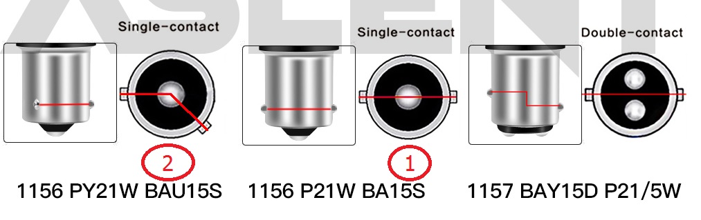 P21W