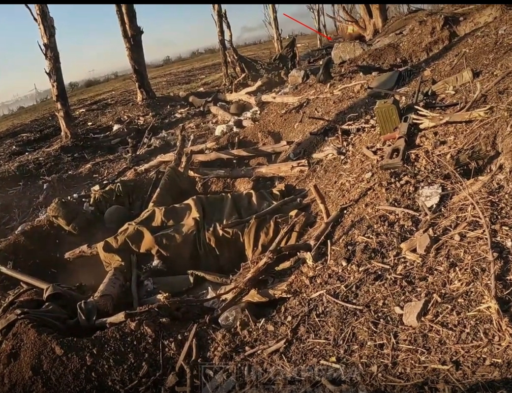 Screenshot_2024-02-05-17-09-18-057_com.twitter.android-edit