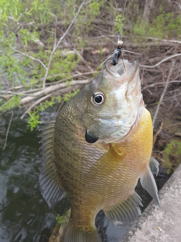 20190505_130627