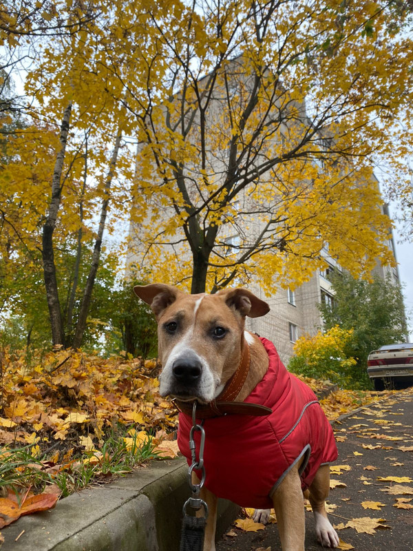 E14B88B1-139A-46FC-847C-9BA83D3ADBE1