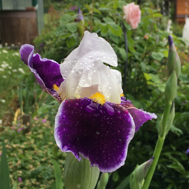 D88E74EC-58A7-43E9-9F88-45129CB5376D