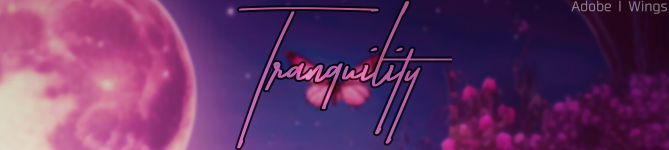 Untitled146-20230208181002.png