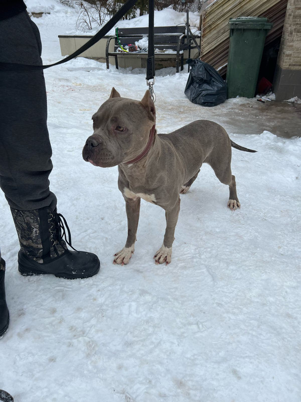 WhatsApp Image 2024-02-05 at 11.16.03 (1)