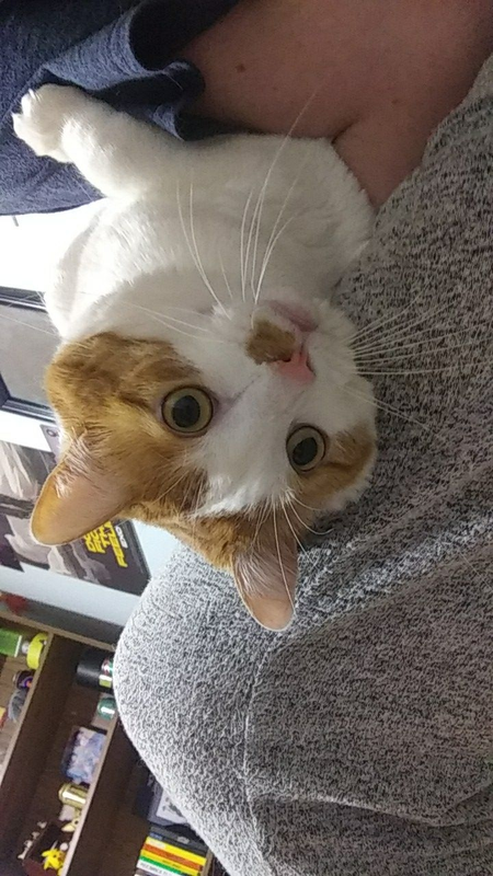 help me