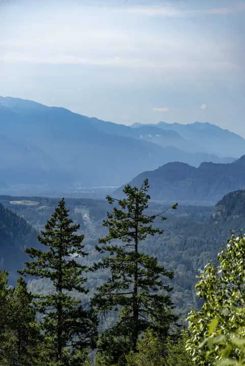 Photographed in Mount Rainier National Park