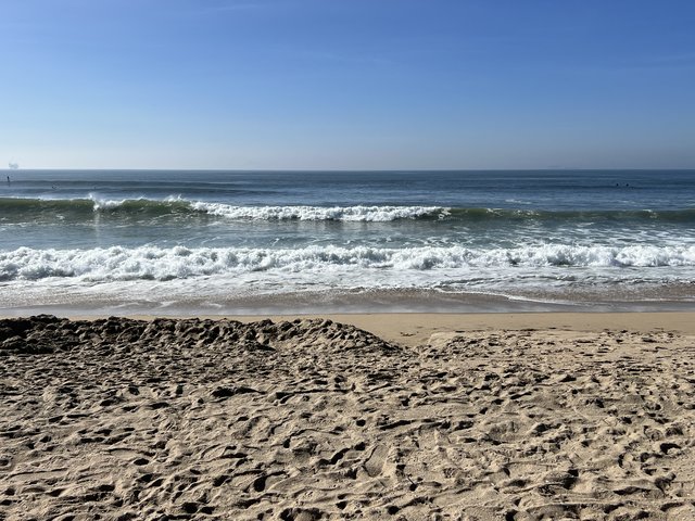 [Image: IMG-7242.jpg]