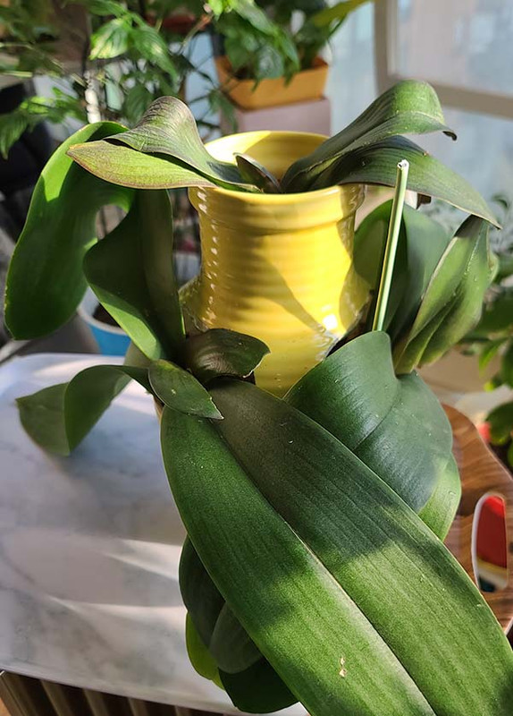 [Image: 20230918-090307.jpg]