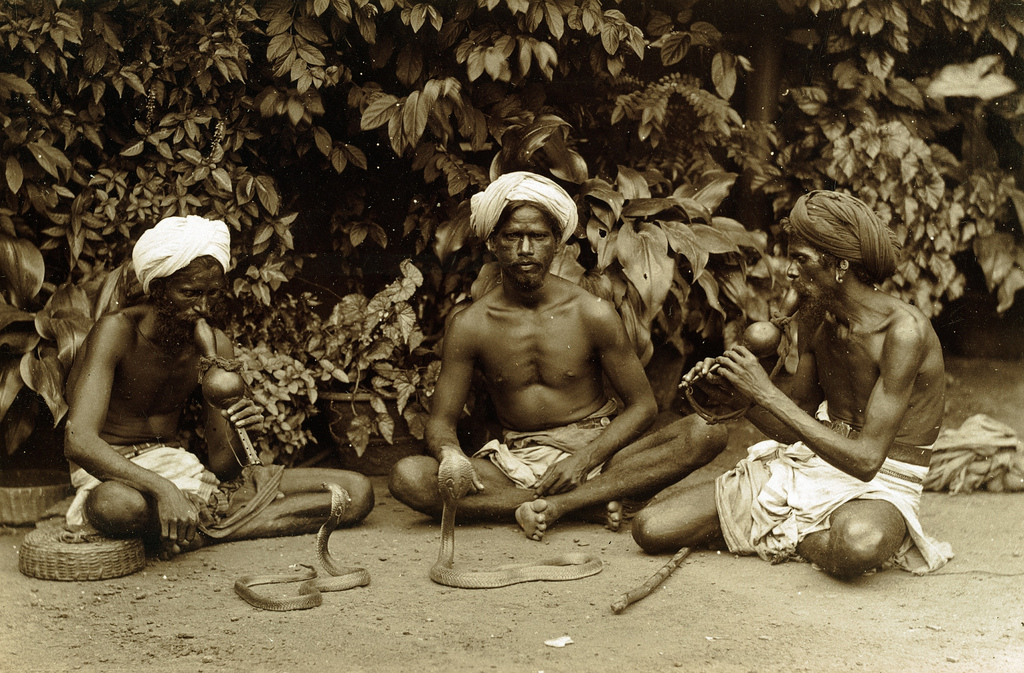 Ceylon-Sri-Lanka-in-the-1880s-14.jpg