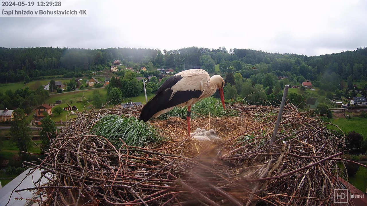 Tiešraidē no uzņēmuma KARA stārķa skursteņa Bohuslavicē pie Trutnovas 11-18-8 screenshot