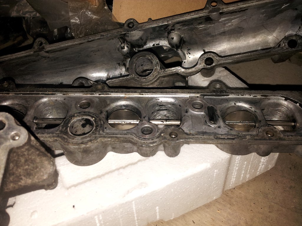 20151203_192527 (Medium)