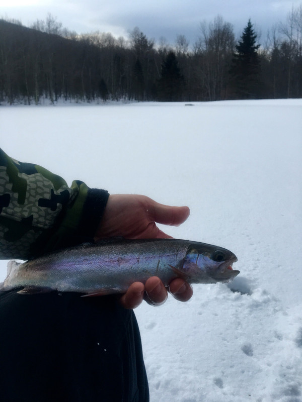 10B1EFB7-3950-4BB8-B7EC-B882AA86871F