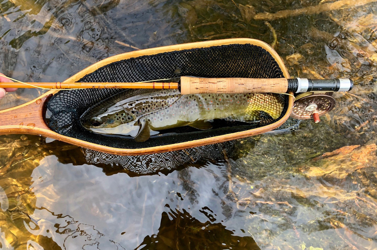 Winston 8 ft. 3.5 oz. (03)