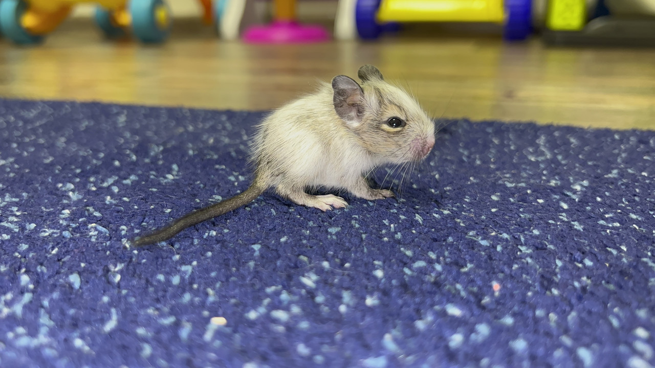 AC9A5CF5-C76B-4163-8D88-AEAC05653000