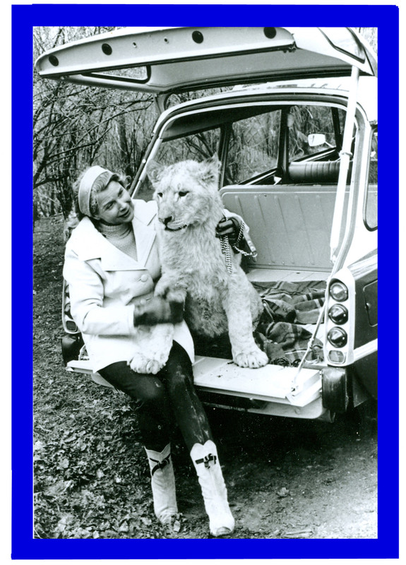 LE BREAK DS ET LE LION
