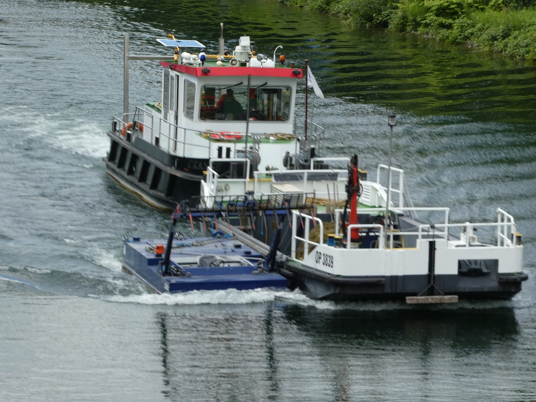 2019.07.09 MB Crange a (1280x960)