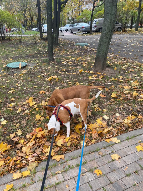 07DA51E7-230A-44D5-A220-1C3A506D34D1