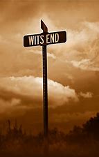 OIP-Wits