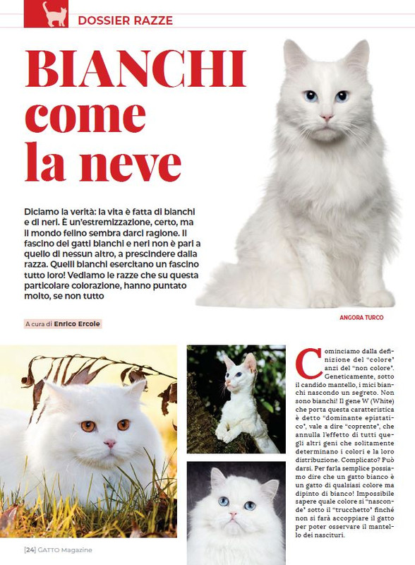 Ga Ma Dic 2022-Gen 2023 (3)