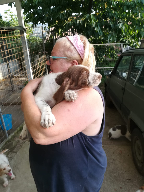 WhatsApp Image 2018-07-03 at 19.41.33 (3)