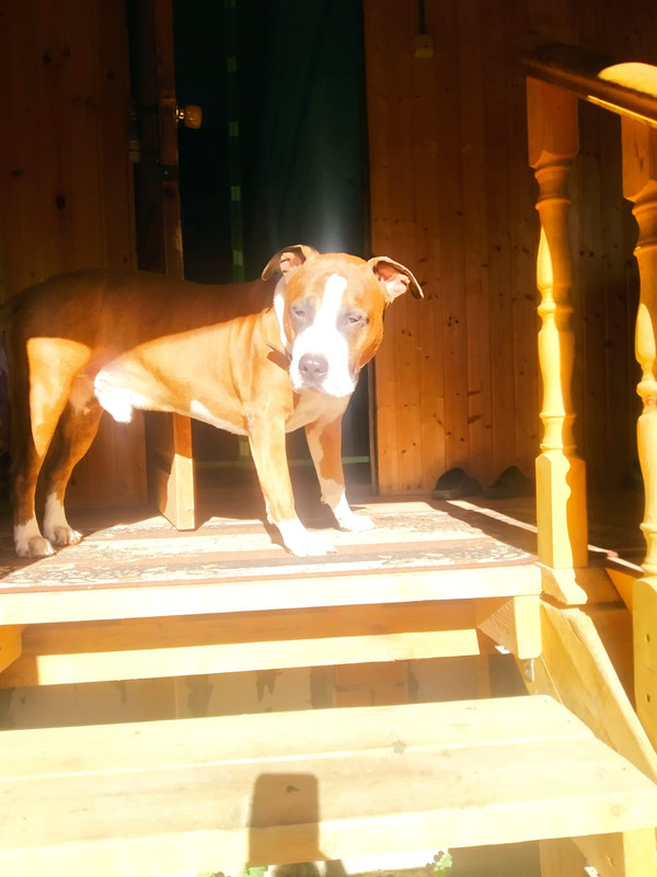 A3269FE9-F9D8-4F93-8D5F-C4559F8A36DA